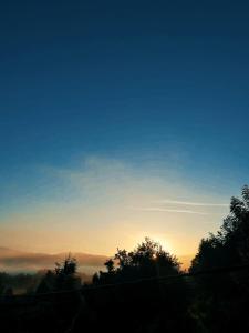 Foto dalla galleria di Log cabin 2 Merdovic a Mojkovac