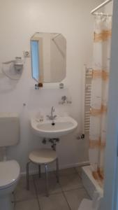 La salle de bains est pourvue d'un lavabo, de toilettes et d'un miroir. dans l'établissement Feriendomizil Annette`s Scholle, à Sondershausen