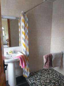 een badkamer met een wastafel en een douche met een spiegel bij Dolla in Nenagh
