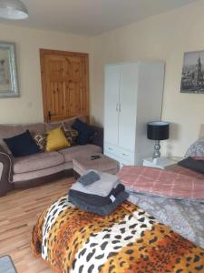 una sala de estar con una manta de guepardo en el suelo en Dolla, en Nenagh