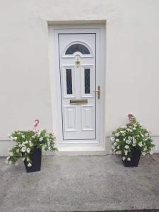 een witte deur met twee potplanten ervoor bij Dolla in Nenagh