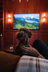 Televisyen dan/atau pusat hiburan di Huntly House - A Residence Like No Other