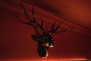 a black deer head with antlers on a red wall at Huntly House - A Residence Like No Other in Glasgow
