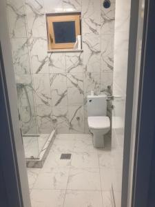 a white bathroom with a toilet and a shower at Apartman SARA in Sarajevo