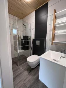 a bathroom with a toilet and a shower and a sink at luludomki in Mielenko