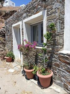 基席諾斯的住宿－Aelia Kithnos，石头建筑,两扇窗户,有盆栽植物