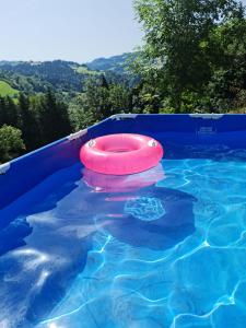 Swimmingpoolen hos eller tæt på Grosses Ferienhaus für traumhafte Familienferien im Appenzellerland