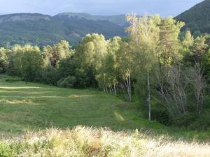 a field with trees and mountains in the background at Chambre indépendante deux personnes au bord de la Blanche in Selonnet