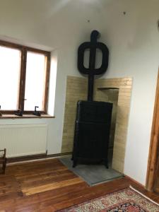 Photo de la galerie de l'établissement Cezara, à Mediaş