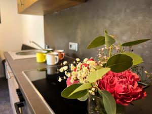 A kitchen or kitchenette at Apart Berghof Steinbock