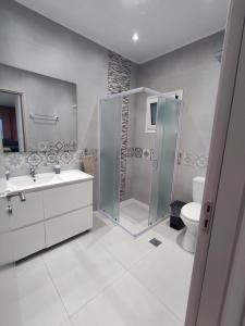 a bathroom with a shower and a sink and a toilet at Nostalgia Apartment in Archangelos