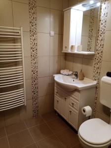 een badkamer met een toilet, een wastafel en een spiegel bij Ferenc Vendégház in Tihany