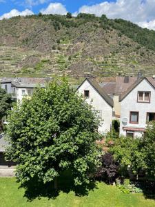 a group of houses in front of a mountain at Ferienwohnung Dieblich an der Mosel in Dieblich