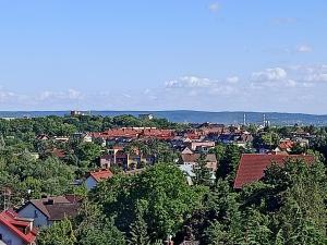 Příroda nedaleko apartmánu