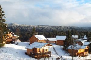 widok z lotu ptaka na ośrodek w śniegu w obiekcie Appart. lumineux pour 4pers. avec piscine chauffée w mieście Saint-Laurent-du-Jura +6 zdjęć