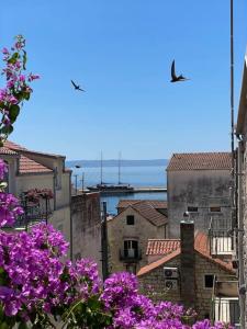 Foto dalla galleria di CENTER (THE HEART) OF MAKARSKA a Makarska