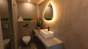 W łazience znajduje się umywalka, toaleta i lustro. w obiekcie KääraPesa w mieście Vihtra