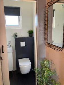 a bathroom with a toilet and a mirror at Casa Bianco in Koudekerke