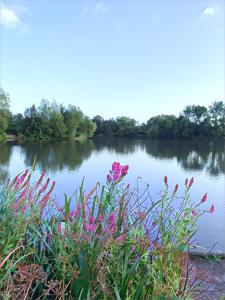 a view of a river with pink flowers in the foreground at The Lake House, Woking in Woking