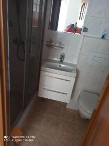 uma casa de banho com um lavatório, um chuveiro e um WC. em Zibi i Pod Topolami em Łazy