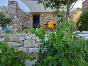 Zahrada ubytování Madilida Sifnos Apartment