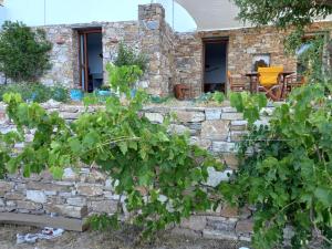 Zahrada ubytování Madilida Sifnos Apartment