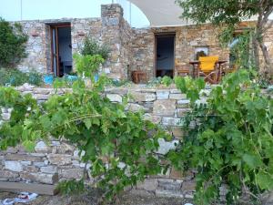 Zahrada ubytování Madilida Sifnos Apartment
