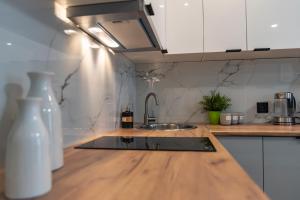a kitchen with a sink and a counter top at Apartamenty Tercet, Apartament Sonata in Ustka