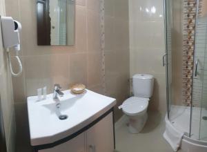 a bathroom with a sink and a toilet and a shower at Vila Tisa in Tismana +43 photos