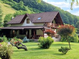 a house with a roof on a green yard at Casa de Piatra in Strungari