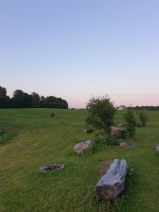 un campo con rocas y un árbol en la hierba en Stovyklavietė „Varlium pastauninks“ 