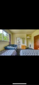 Te Kao的住宿－Tekao Lodge，一间卧室设有两张床和窗户。