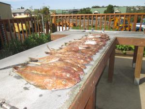 una fila de peces se alinean en una mesa en Flats Elite Bermagui, en Bermagui