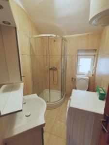 Koupelna v ubytování Apartmani Vuković