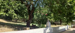 Vonkajšia záhrada v ubytovaní Casa Rural Santa Clara