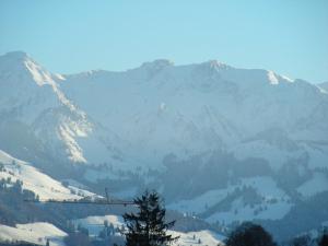 ビュルにあるibis Bulle - La Gruyèreの雪山