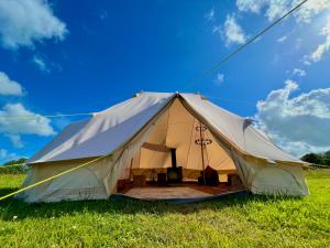 a large white tent in a field of grass at Hartridge Springs in Honiton