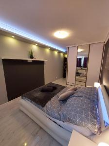 ein Schlafzimmer mit einem großen Bett in einem Zimmer in der Unterkunft Apartament Wenedów in Koszalin