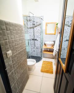 a bathroom with a shower and a toilet and a sink at Studio jacuzzis et piscine au centre ville de Port-Louis in Port-Louis