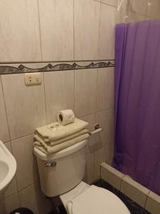 a bathroom with a toilet and a purple shower curtain at Santa Catalina Hotel Cusco in Cusco