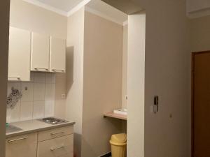 Η κουζίνα ή μικρή κουζίνα στο Guest house Adria +136 φωτογραφίες