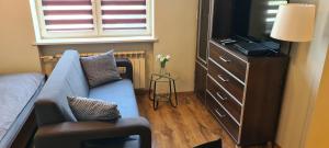 a living room with a blue couch and a television at Apartament Home NETFLIX in Pyskowice