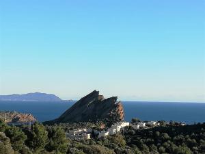 Príroda v okolí apartmánu + 8 fotografií
