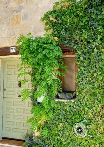 uma garagem com um monte de hera a crescer à volta dela em La Casita de Pozancos em Sigüenza