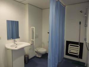 A bathroom at Hostel Blauwput Leuven