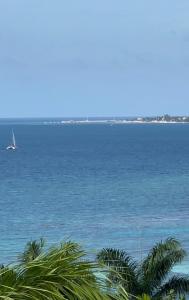 widok na ocean z łodzią w wodzie w obiekcie Spring Garden Mobay Resort w mieście Montego Bay