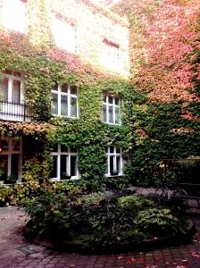 Vonkajšia záhrada v ubytovaní Apartament Jonek