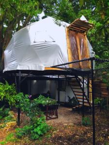 a tree house with a bed and a ladder at Glamping Zen-tir in Cajicá