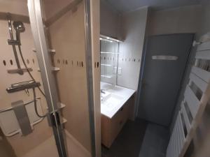 Koupelna v ubytování Appartement La Roche-Posay, 2 pièces, 2 personnes - FR-1-541-91