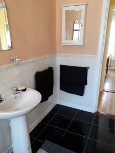 ein Bad mit einem Waschbecken und einem Spiegel in der Unterkunft Room in Apartment - 1 Bedroom In A Homely Home With A Lovely Farm 